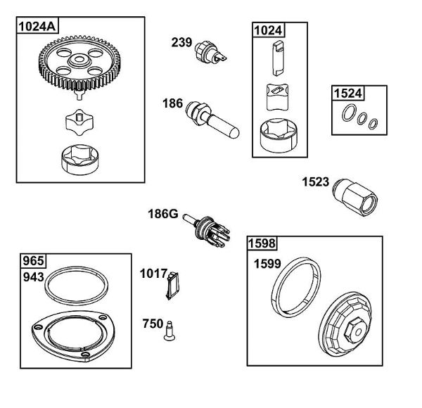 B&S - 49â  49E877-0021-G1 J - BLOCO DA LUBRIFICAÃ‡ÃƒO da marca Stihl