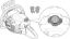Moto-serras a gasolina (MS) MS 261 C-M VW Smart Connector da marca Stihl