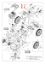 Illustrated parts list WB 51 S6 Bush hog mower