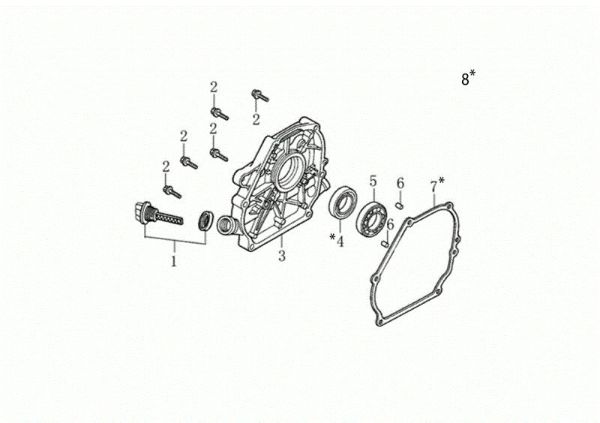 Tapa basamento MOTORE K800 H (EURO 5) Motor K800 H (EURO 5)