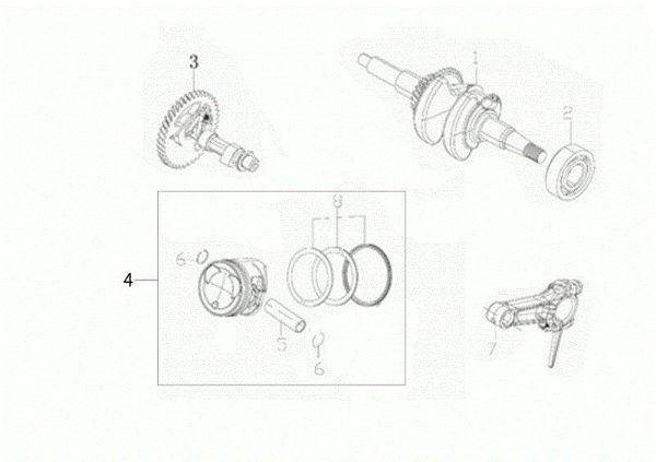 Ciguenal y piston 055