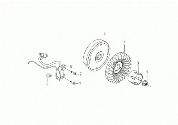 Volante y bobina digital MOTORE K1100 H (EURO5) Motor