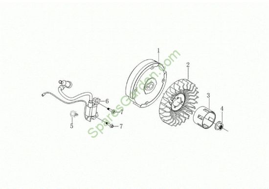 Volante y bobina digital MOTORE K1100 H (EURO5) Motor