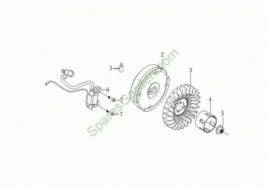 Volante y bobina digital MOTORE K800 H (EURO 5) Motor K800H(EURO 5)